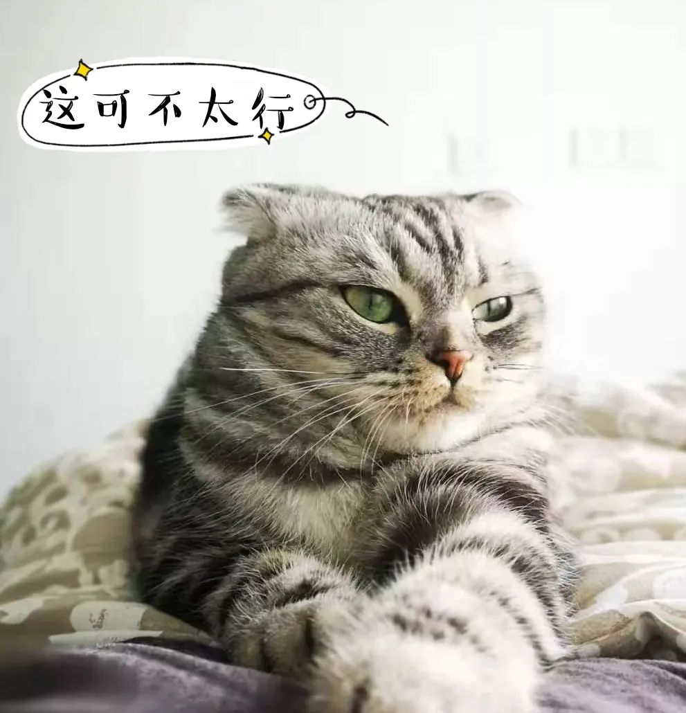 DƬ